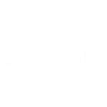 Eccoinc